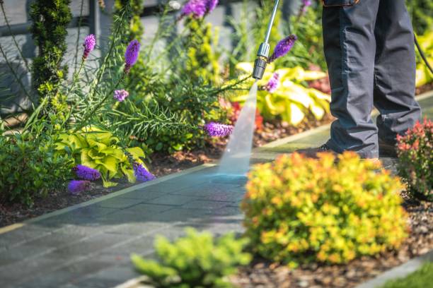 Best Sidewalk and Walkway Cleaning  in Castle Hills, TX