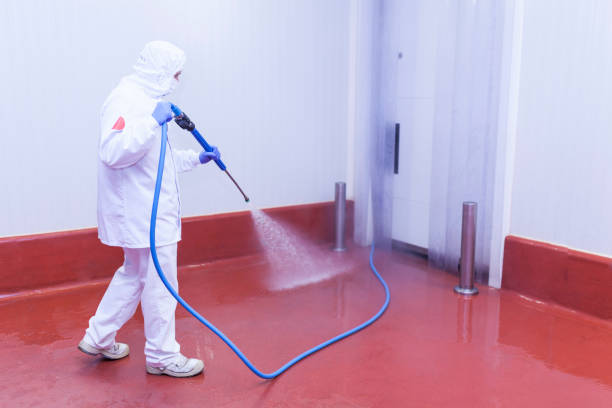 Best Rust Removal  in Castle Hills, TX