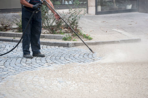 Best Winterizing Services  in Castle Hills, TX